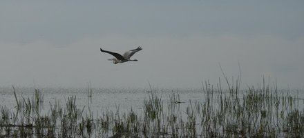 Kızılırmak Delta Wetland and Bird Sanctuary