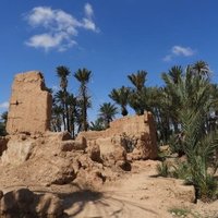 Le chapelet d'oasis de Tighmert