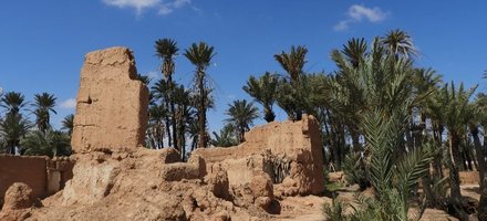 Le chapelet d'oasis de Tighmert