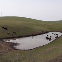 Hulun Buir Landscape