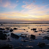 Photo in the Public Domain