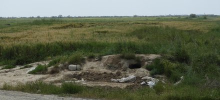 The Great Wall of Gorgan