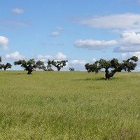 Montado, Cultural Landscape
