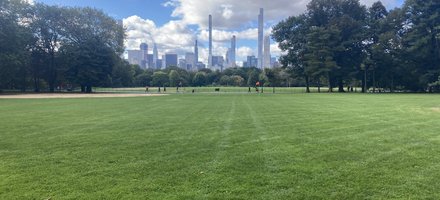Central Park