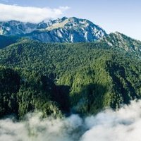 Perućica