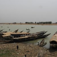 Le Bassin du fleuve Niger  by Roman Bruehwiler
