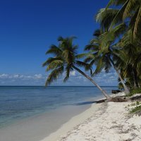 Parque Nacional Cotubanamá  by Roman Bruehwiler