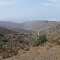 The Coastal Lomas System of Peru by Frédéric M