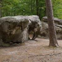 Domaine de Fontainebleau