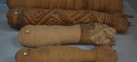 Egyptian Museum