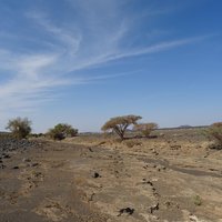 Al Hassania National Park by Astraftis