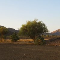 Al Hassania National Park