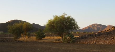 Al Hassania National Park