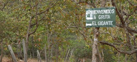 El Gigante Rockshelter