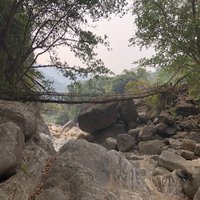 Jingkieng jri: Living Root Bridge