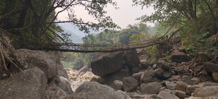Jingkieng jri: Living Root Bridge