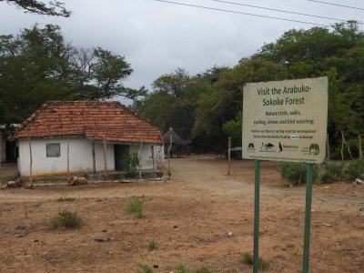Coastal Forests of Kenya by Roman Bruehwiler