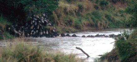 Maasai Mara Game Reserve