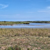 East Atlantic Flyway by Roman Bruehwiler