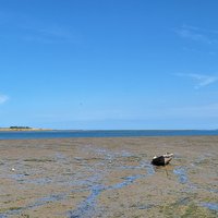 East Atlantic Flyway