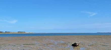 East Atlantic Flyway