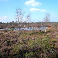 Green Belt