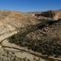 Les systèmes oasiens des gorges du Rhoufi et d'Oue by Roman Bruehwiler