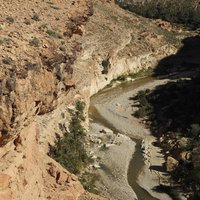 Les systèmes oasiens des gorges du Rhoufi et d'Oue