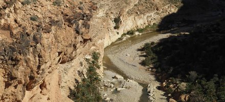 Les systèmes oasiens des gorges Rhoufi et d'Oued