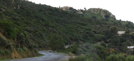 Nedroma et les Trara