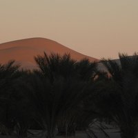 Paysage Oasien d’Oued Souf