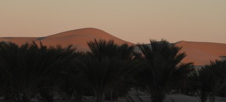 Paysage Oasien d’Oued Souf