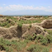 The archaeological site of the city of Dvin