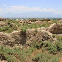 The archaeological site of the city of Dvin