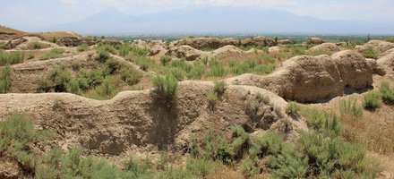 The archaeological site of the city of Dvin