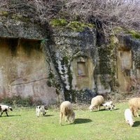 Les tombes de la Basse Selca
