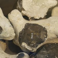 Neolithic Flint Mines at Spiennes