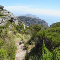 Cape Floral Region