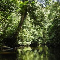 Gunung Mulu by Els Slots