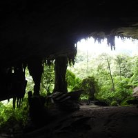 Niah Caves