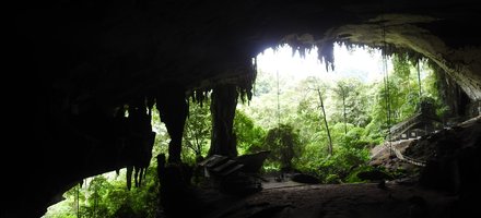 Niah Caves