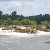 Central Suriname Nature Reserve by Michael Ayers