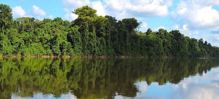 Central Suriname Nature Reserve
