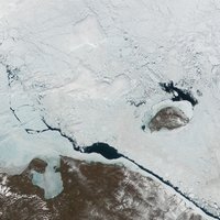 Wrangel Island