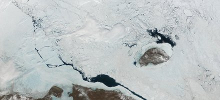 Wrangel Island