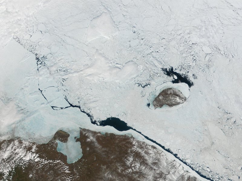 Wrangel Island by Roman Bruehwiler