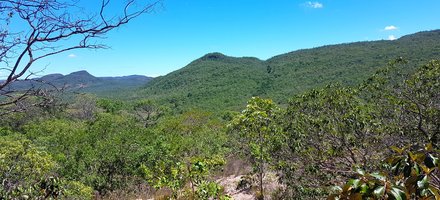 Cerrado Protected Areas