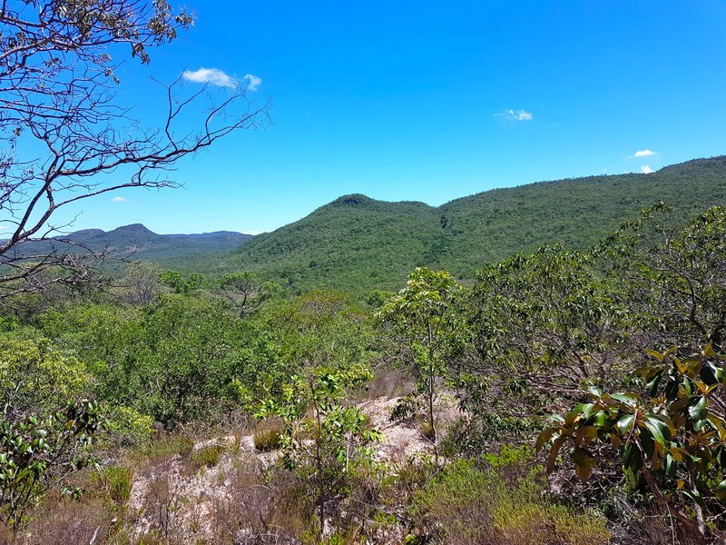 Cerrado Protected Areas by Wojciech Fedoruk
