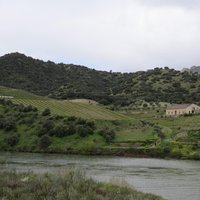 Alto Douro by Els Slots