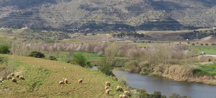 Alto Douro